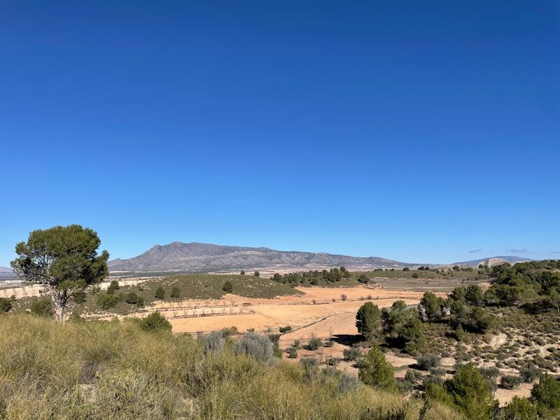 Auberge à vendre