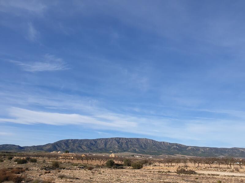 Lantställe till salu i Pinoso, Alicante