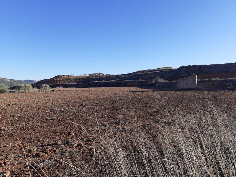 Lantställe till salu i Pinoso, Alicante