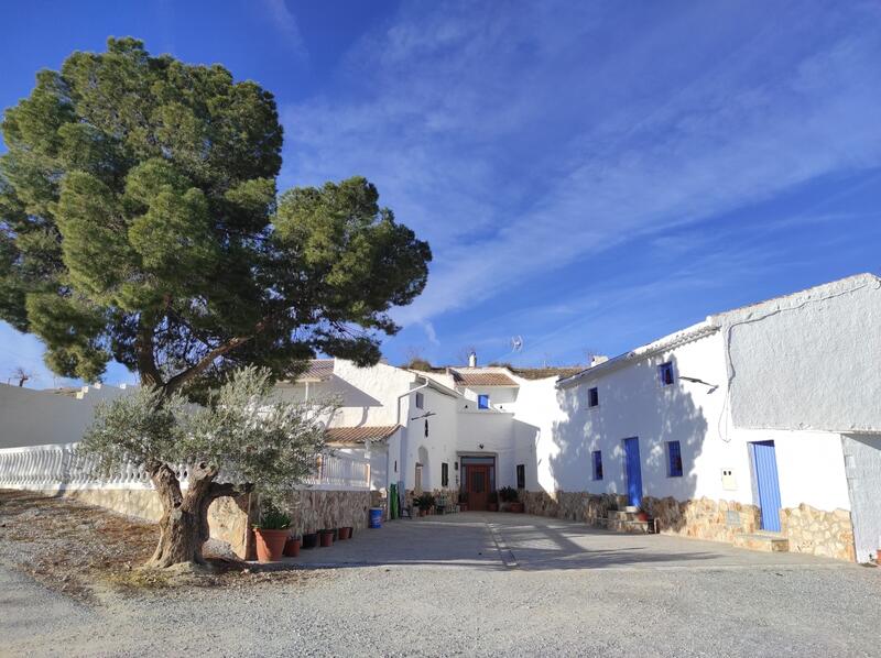 Townhouse for sale in Cuevas del Campo, Granada