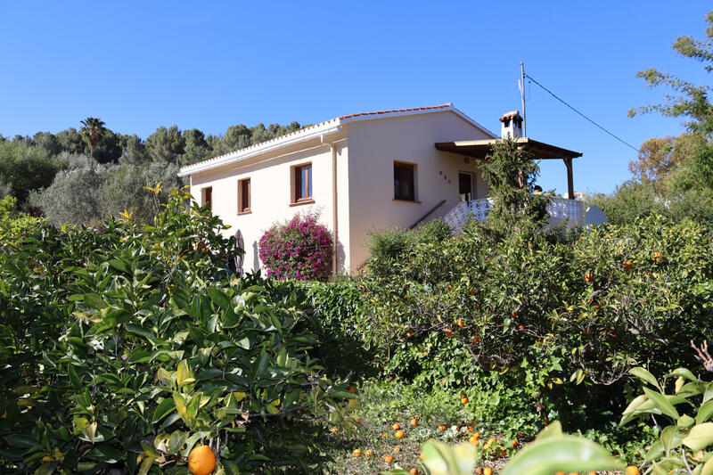 Auberge à vendre dans Parcent, Alicante