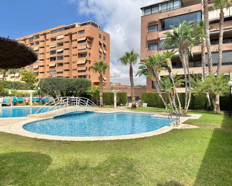 3 Cuarto Apartamento en venta