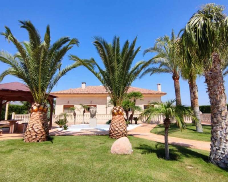 Villa en venta en Aspe, Alicante