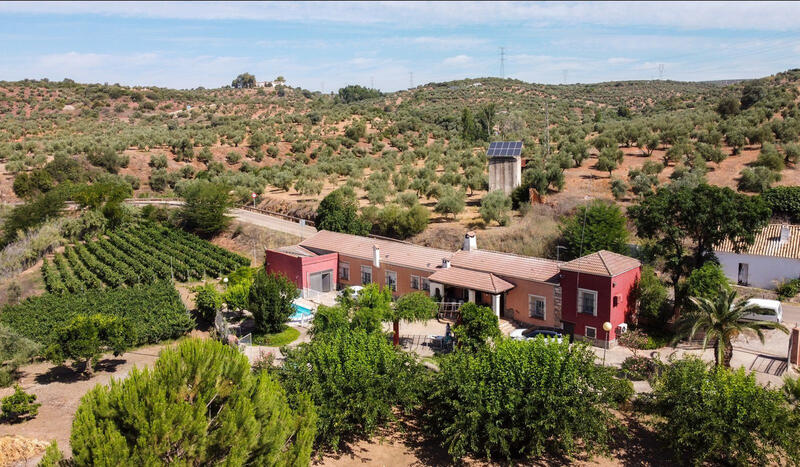 Herregård til salgs i Marmolejo, Jaén