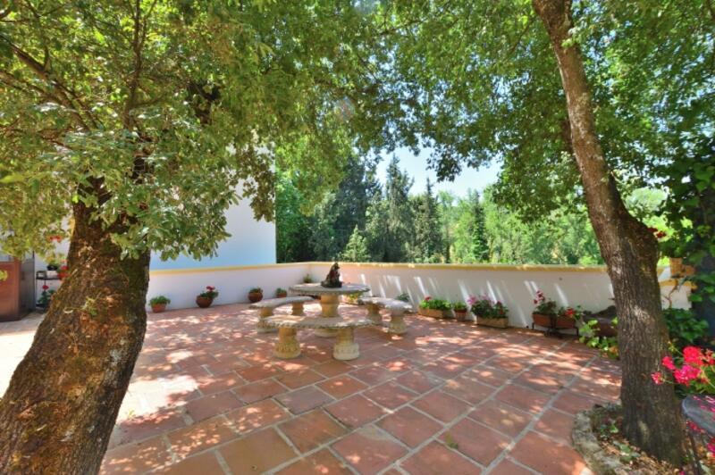 Casa de Campo en venta en Ronda, Málaga