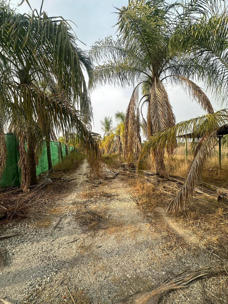 Land for sale in Alhaurin de la Torre, Málaga