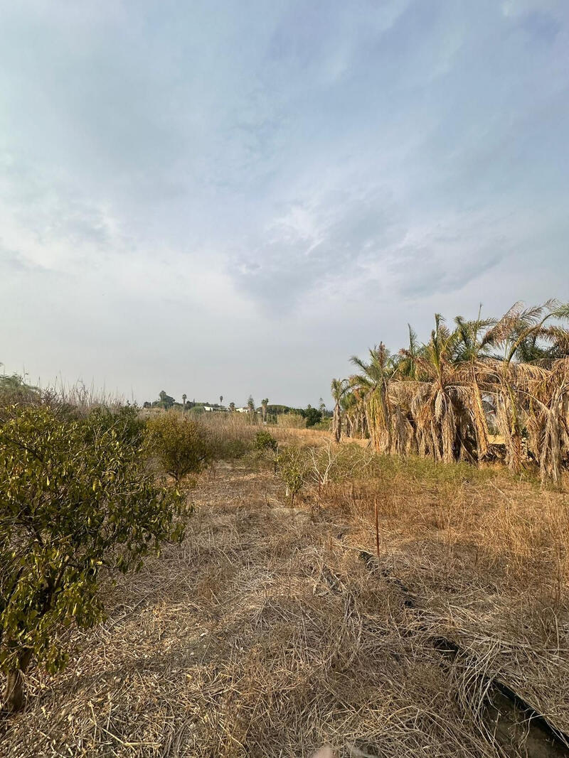 Land for sale