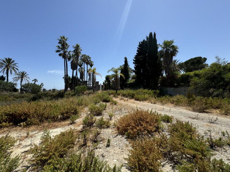 Terrain à vendre dans Nueva Andalucia, Málaga